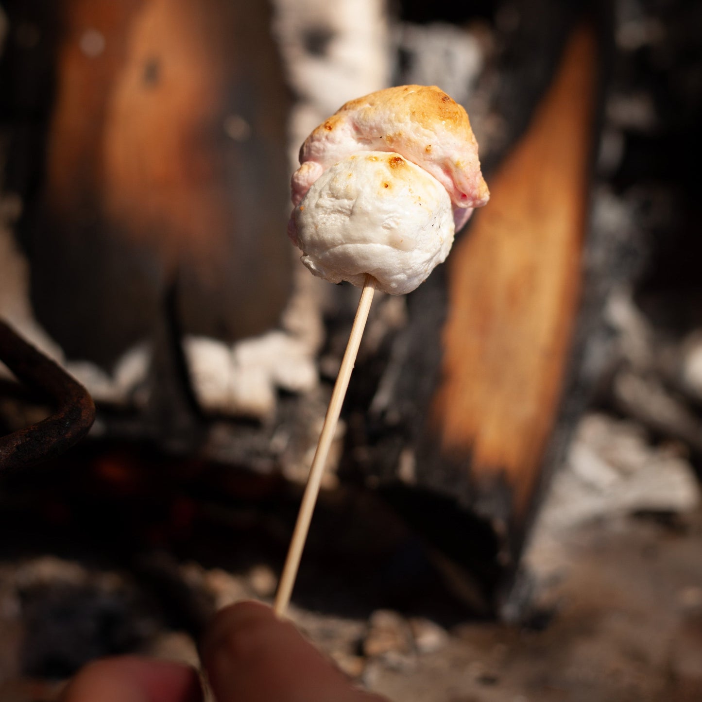 Marshmallow over a campfire ready to go inside a vegan s'more