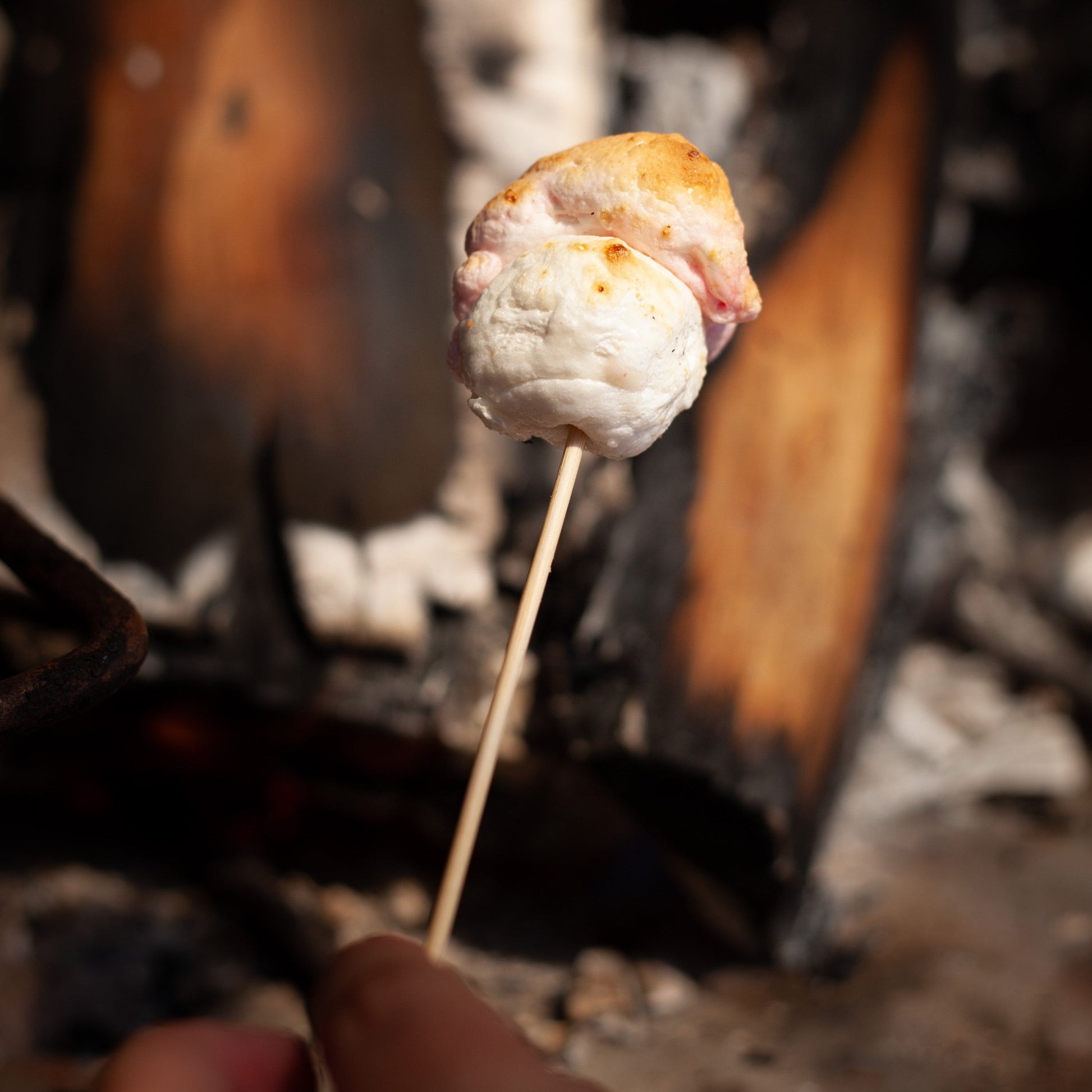 Marshmallow over a campfire ready to go inside a vegan s'more